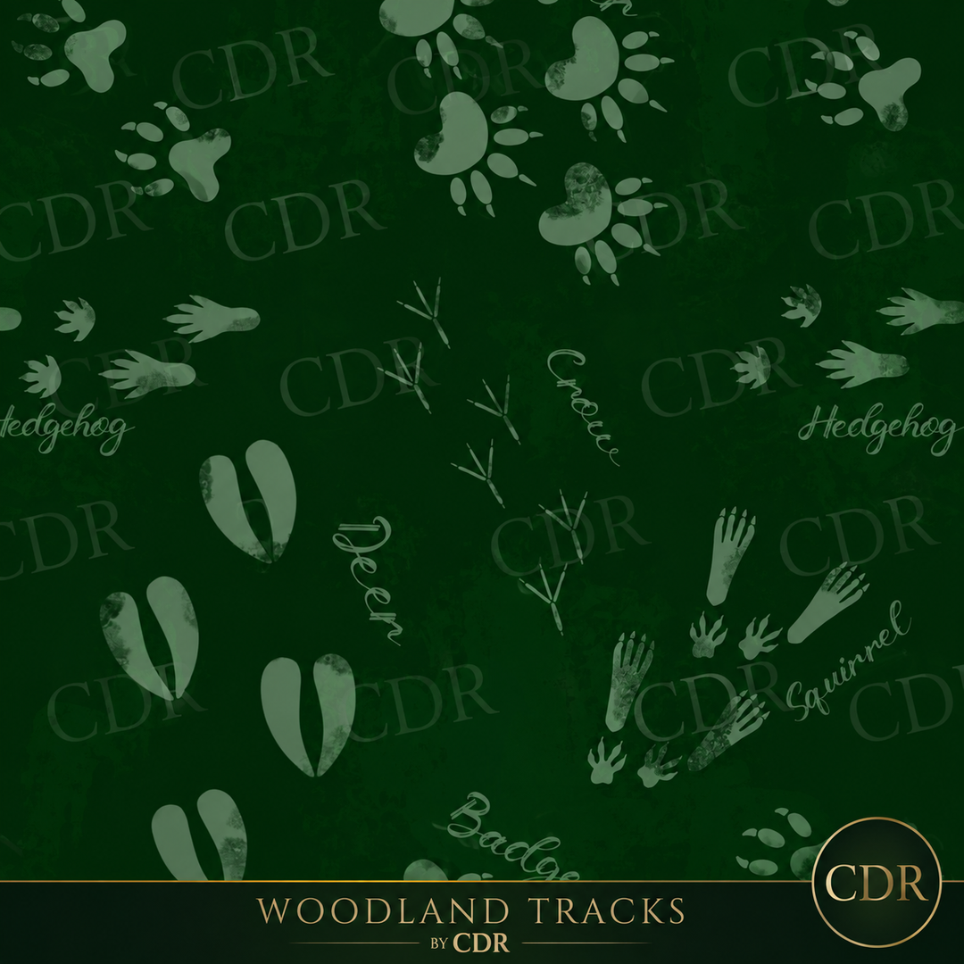 Woodland tracks