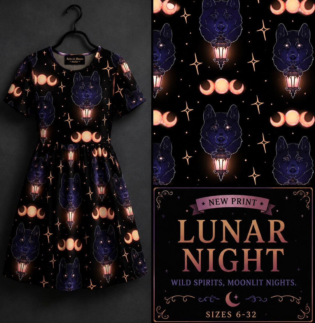 Lunar night