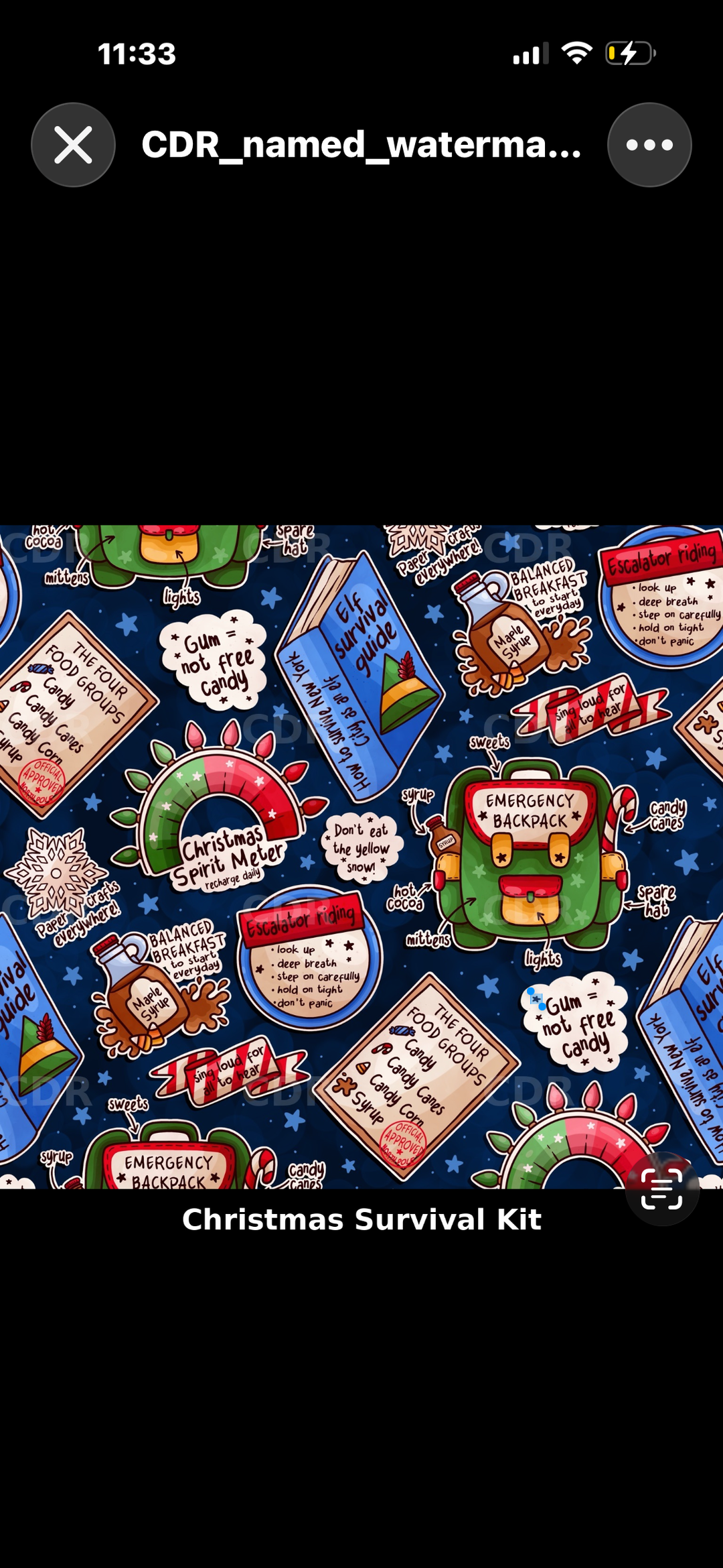 Christmas survival kit