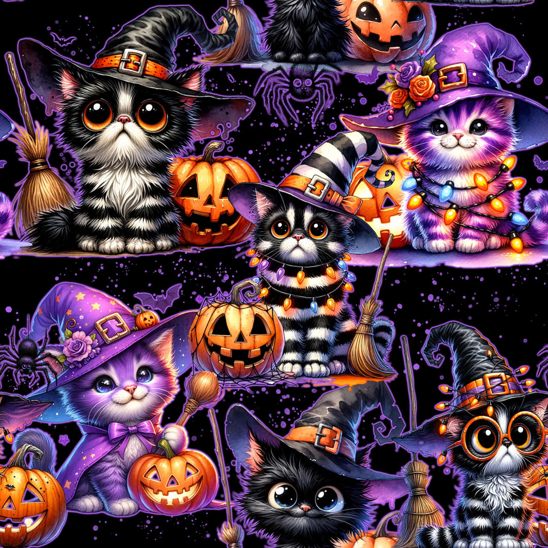 Midnight hex kittens