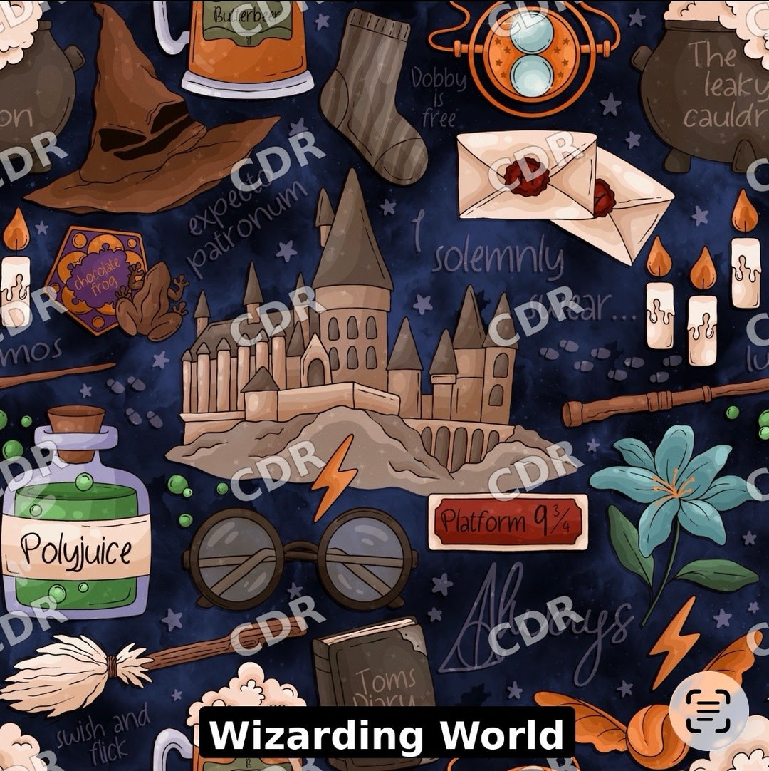 Wizarding world