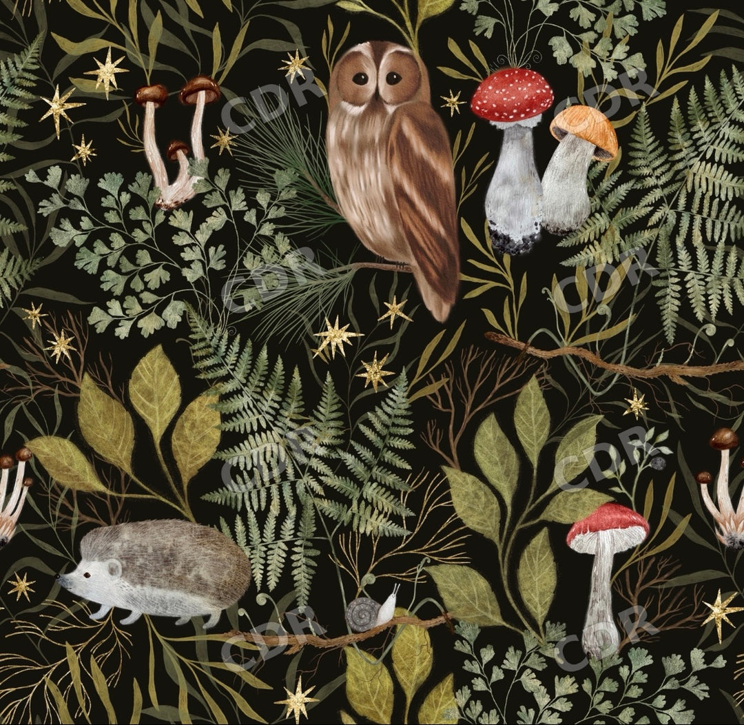 Owl and  foraged forest