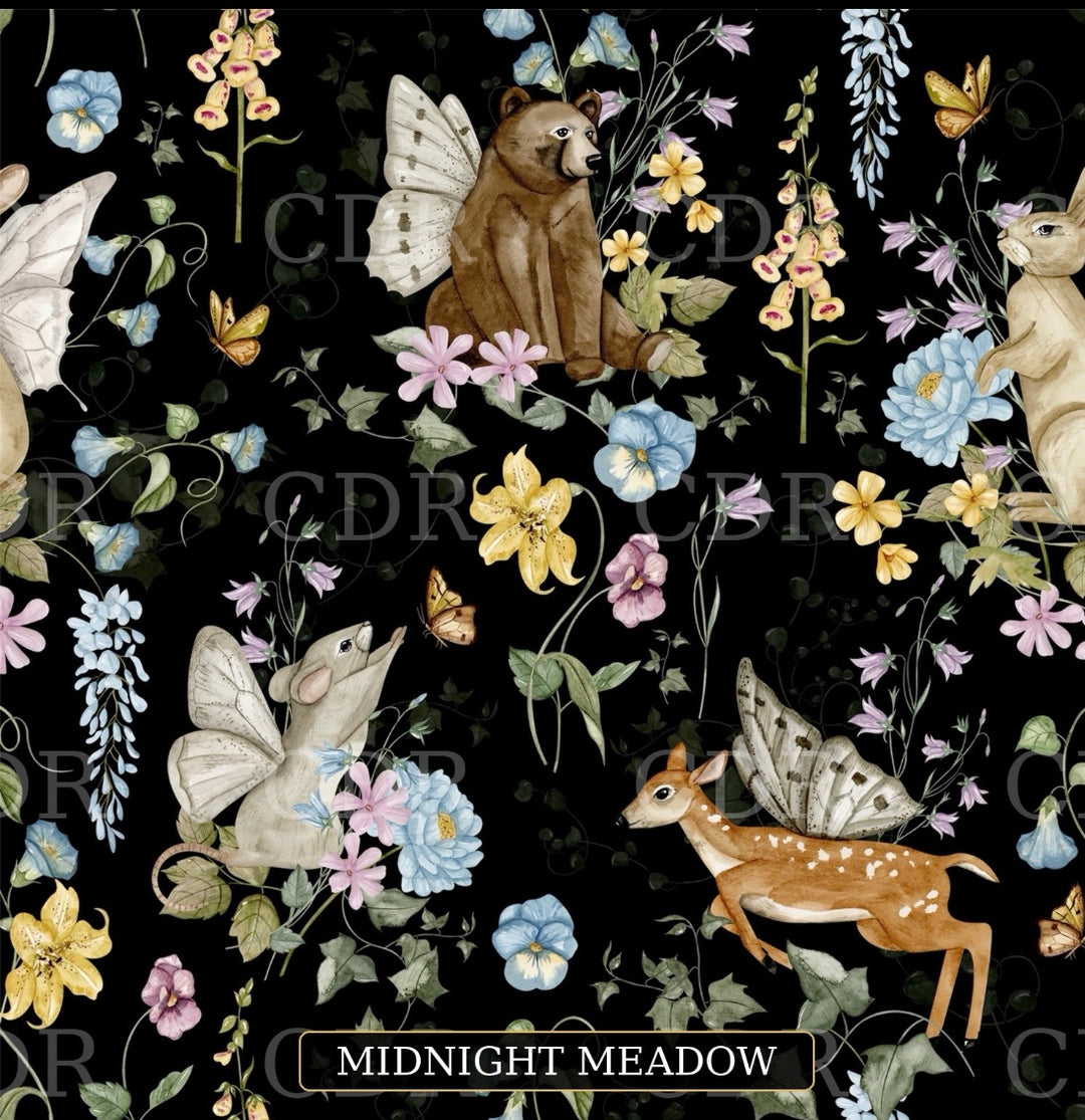 Night meadow