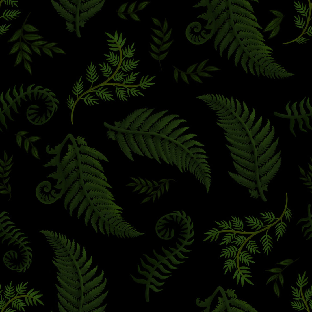 Ferns on Black